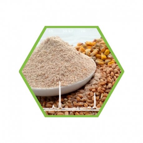 Lebensmittel: Ethylenoxid und 2-Chlorethanol