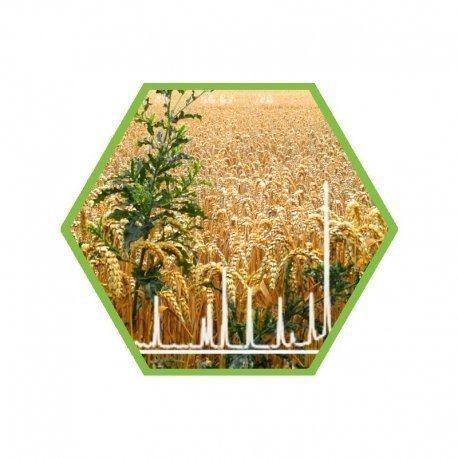 Laboranalyse: Pestizide in Getreide/Leguminosen