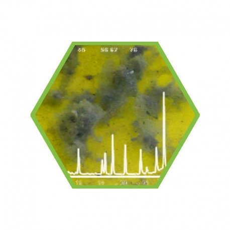 Hausstaub/Lacke: Weichmacher (Phthalate)