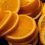 Orangen, Mandarinen, Zitronen und Limetten – Infos und News