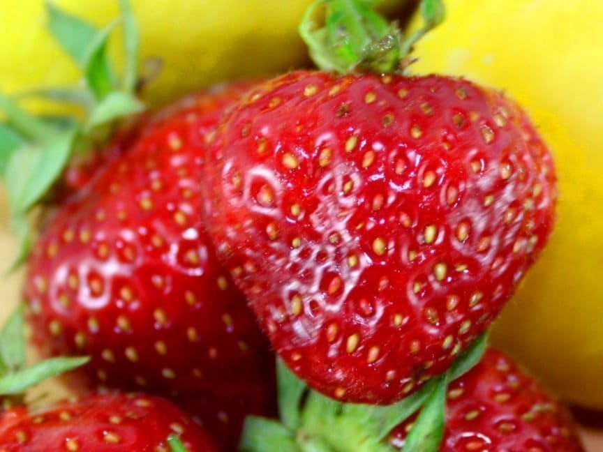 saftige Erdbeeren