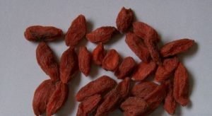 Goji Beeren